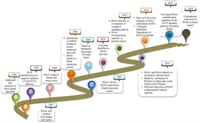 PIAS family in cancer: from basic mechanisms to clinical applications